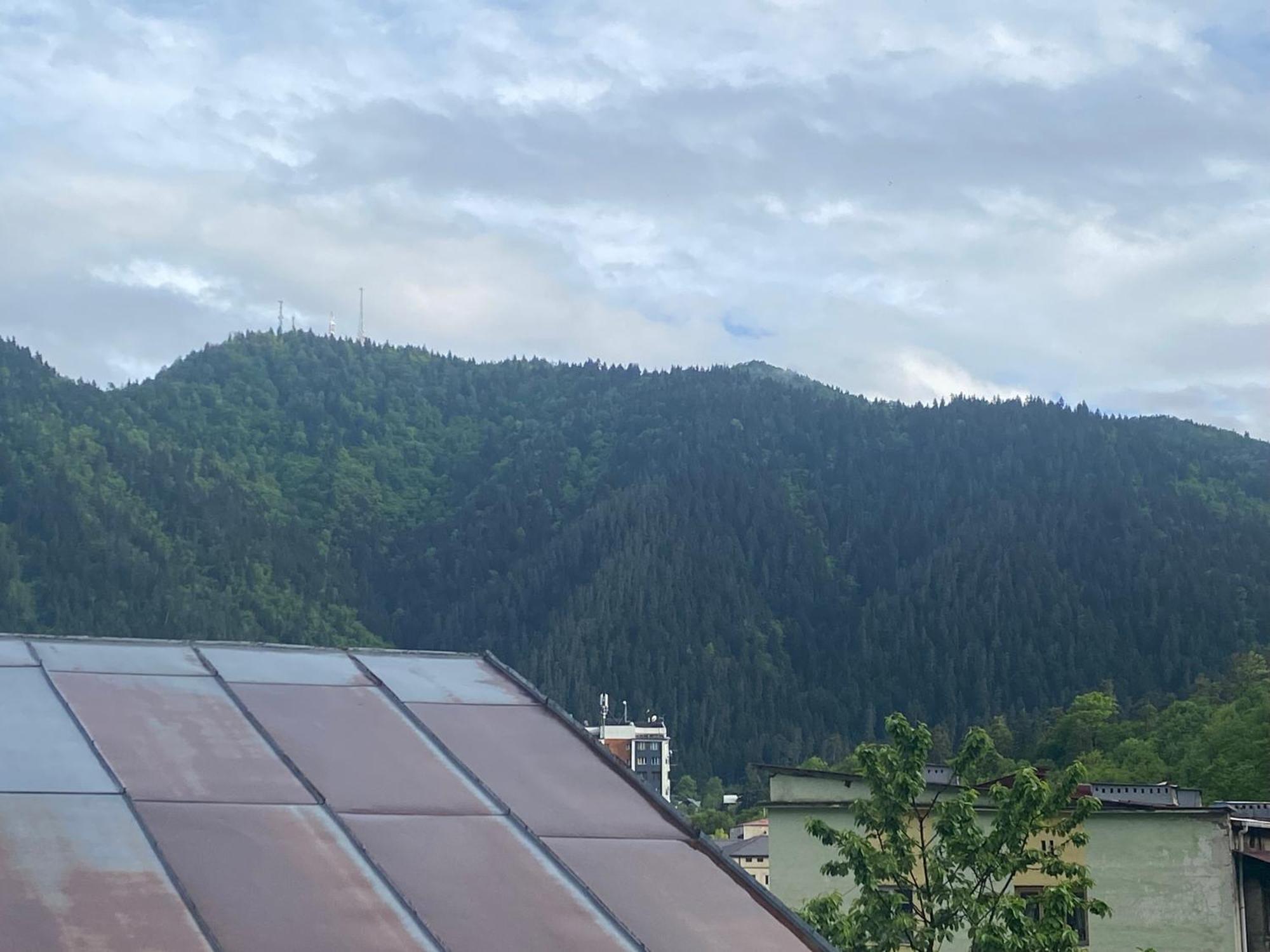 Hillside Guesthouse Borjomi Exterior foto
