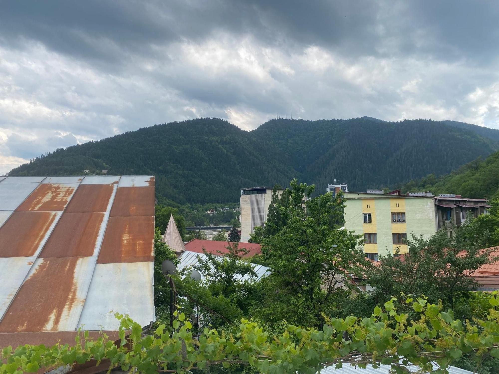 Hillside Guesthouse Borjomi Exterior foto