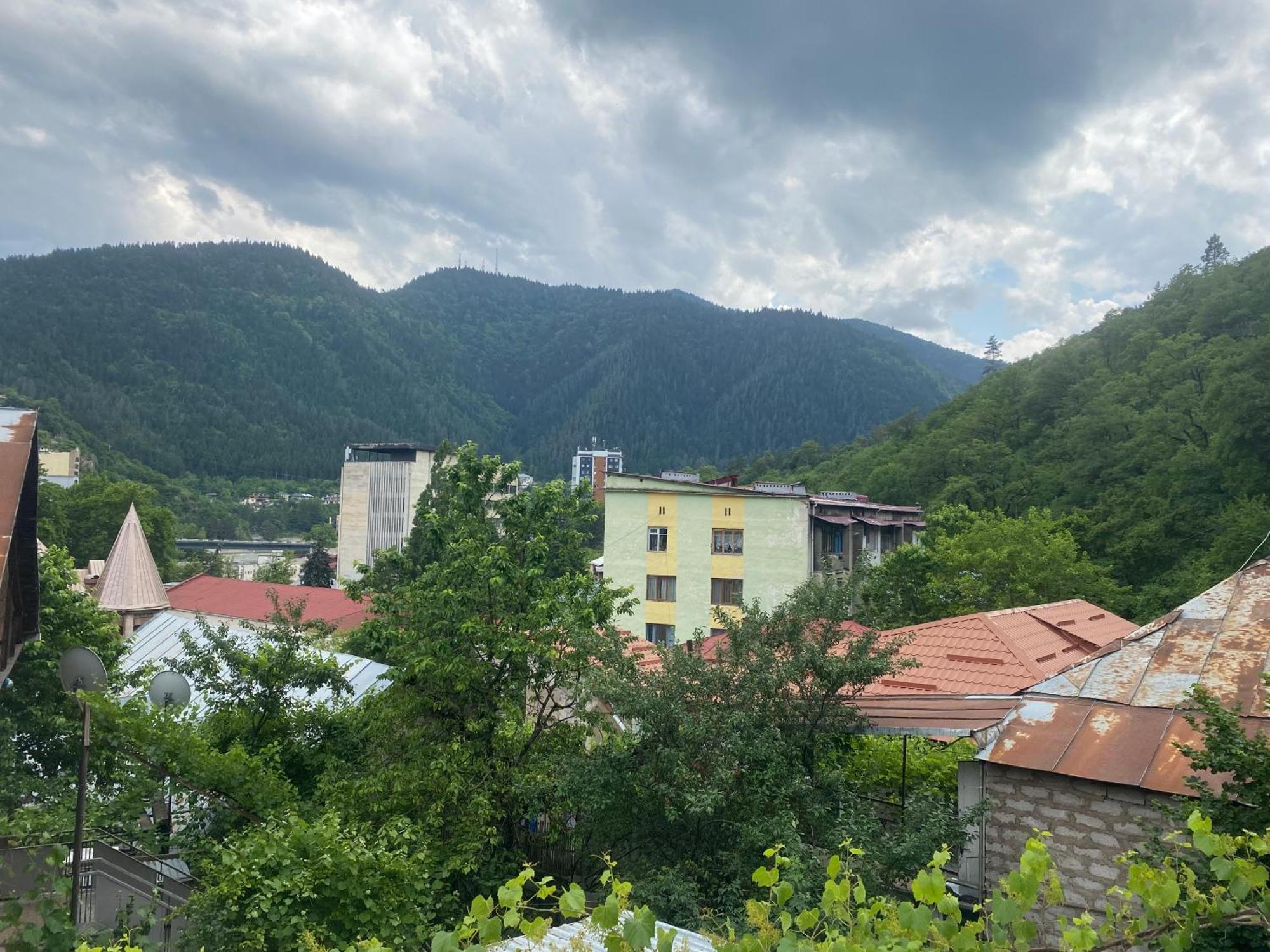 Hillside Guesthouse Borjomi Exterior foto